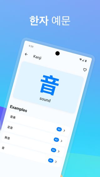 JLPT 진도 대시보드 - 상세 통계
